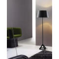 Modern Matt Black Metal Floor Lighting for Livingroom (ML20096-1-500)